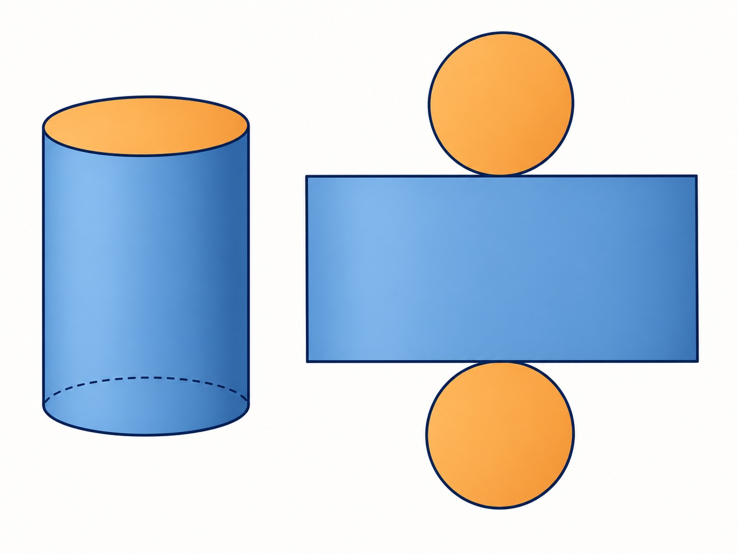 A closed cylinder beside its three surface parts: two matching circular ends and one rectangular curved-side piece, shown in matching colors.