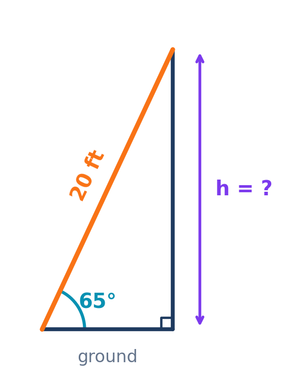 Right triangle ladder diagram with a 20 foot ladder and 65 degree ground angle